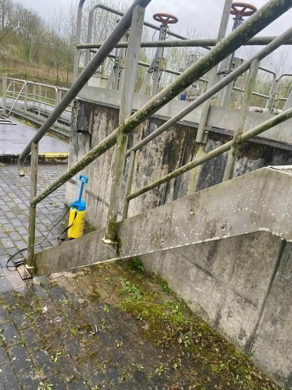 Un escalier qui avait disparu