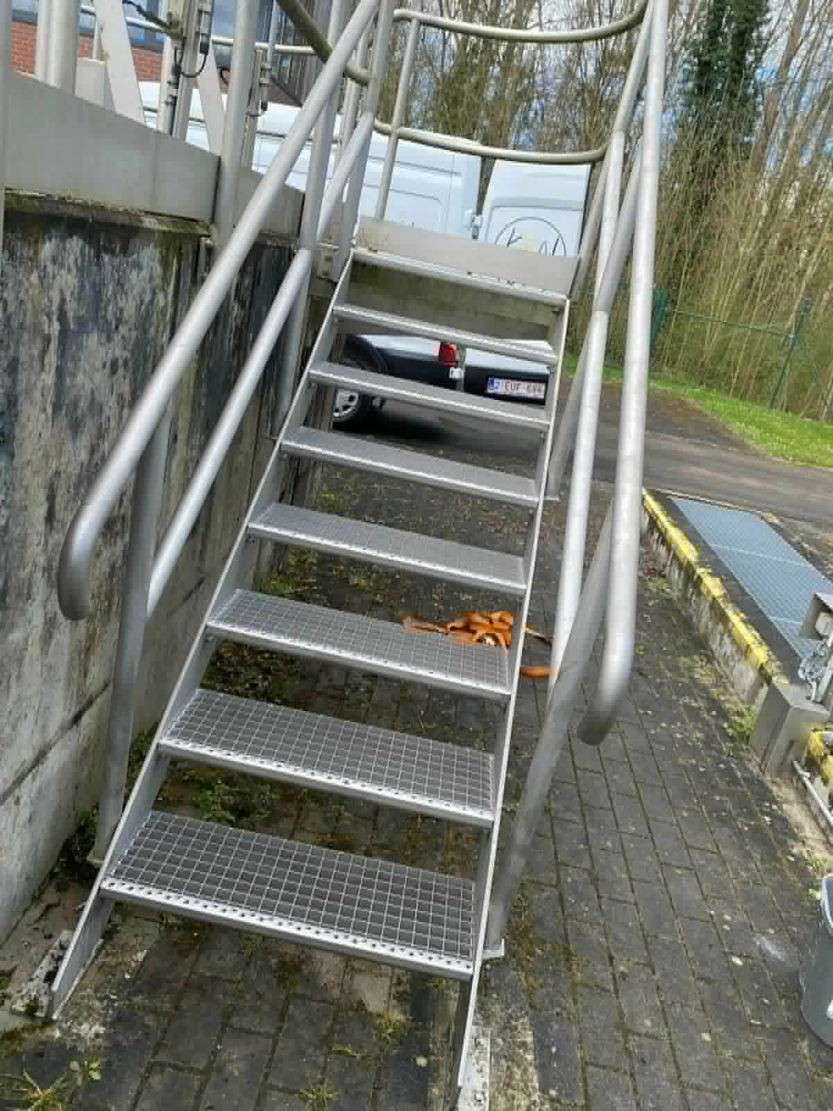 Un escalier qui avait disparu